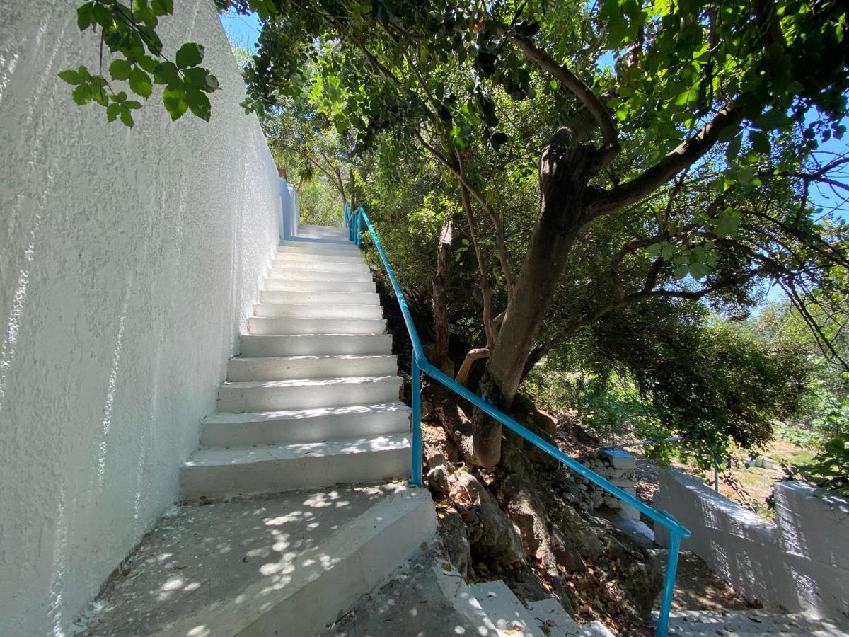 Oleander'S Garden Traditional Cretan Cottage Ferma Eksteriør bilde