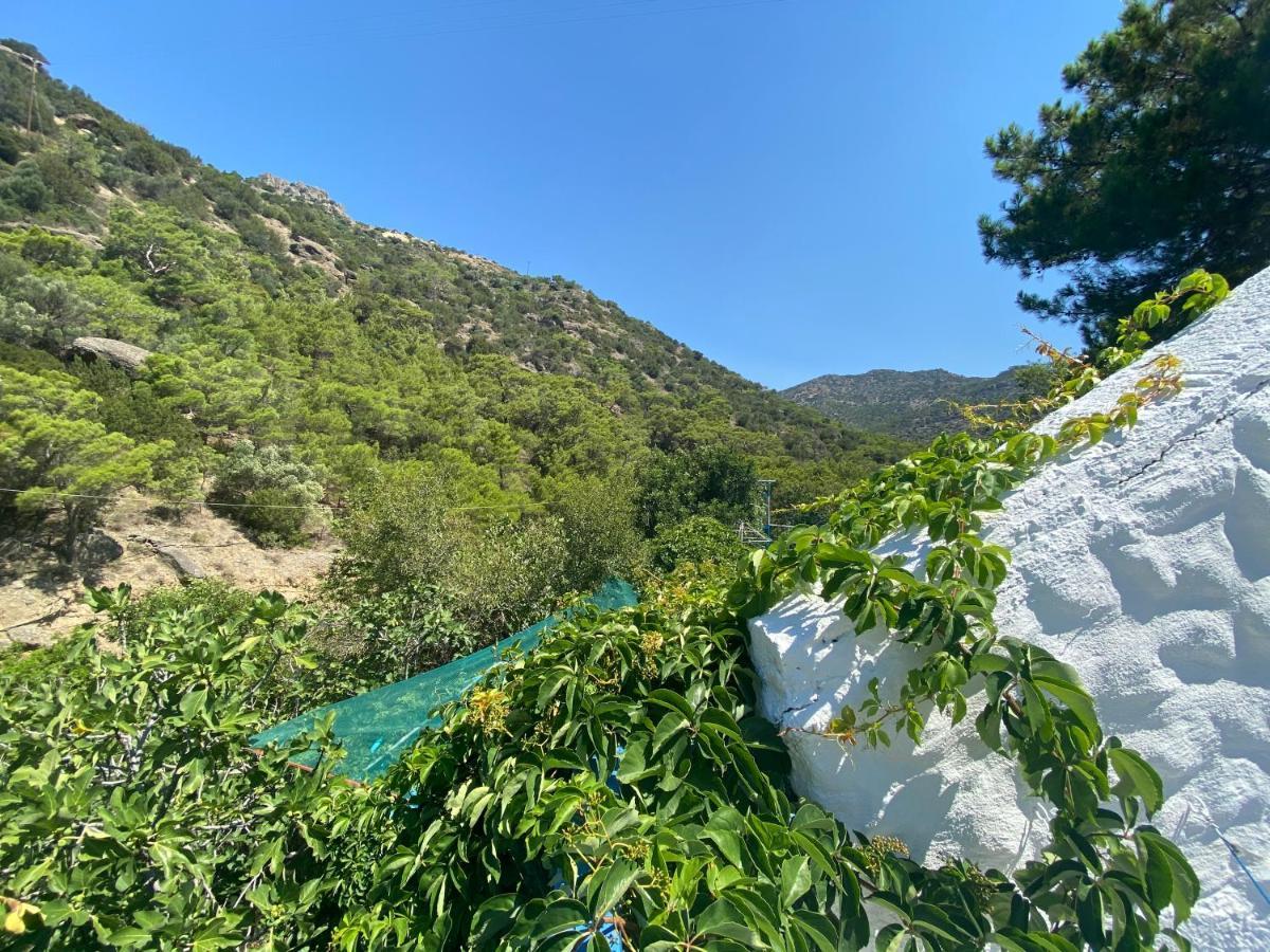 Oleander'S Garden Traditional Cretan Cottage Ferma Eksteriør bilde