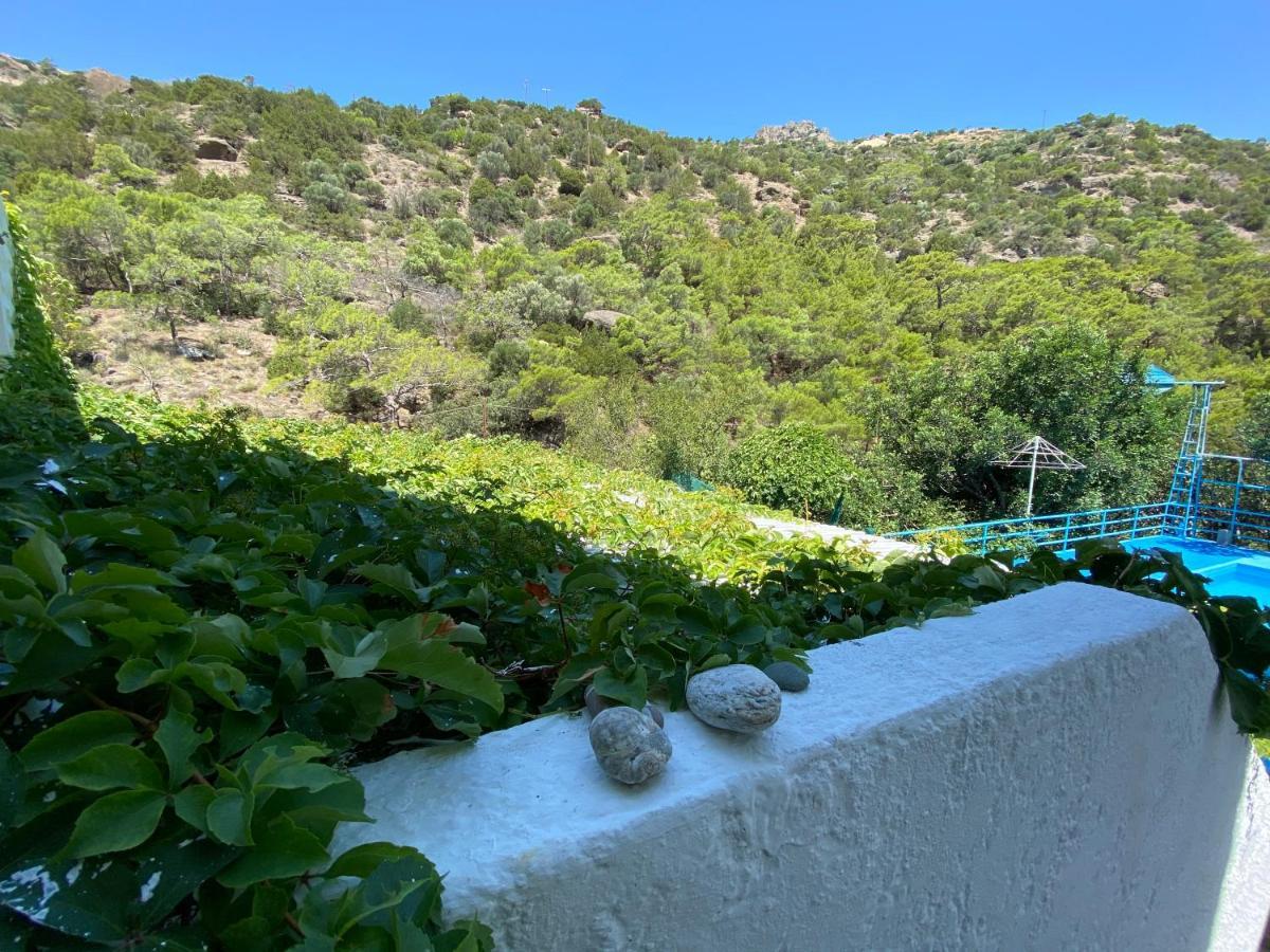 Oleander'S Garden Traditional Cretan Cottage Ferma Eksteriør bilde