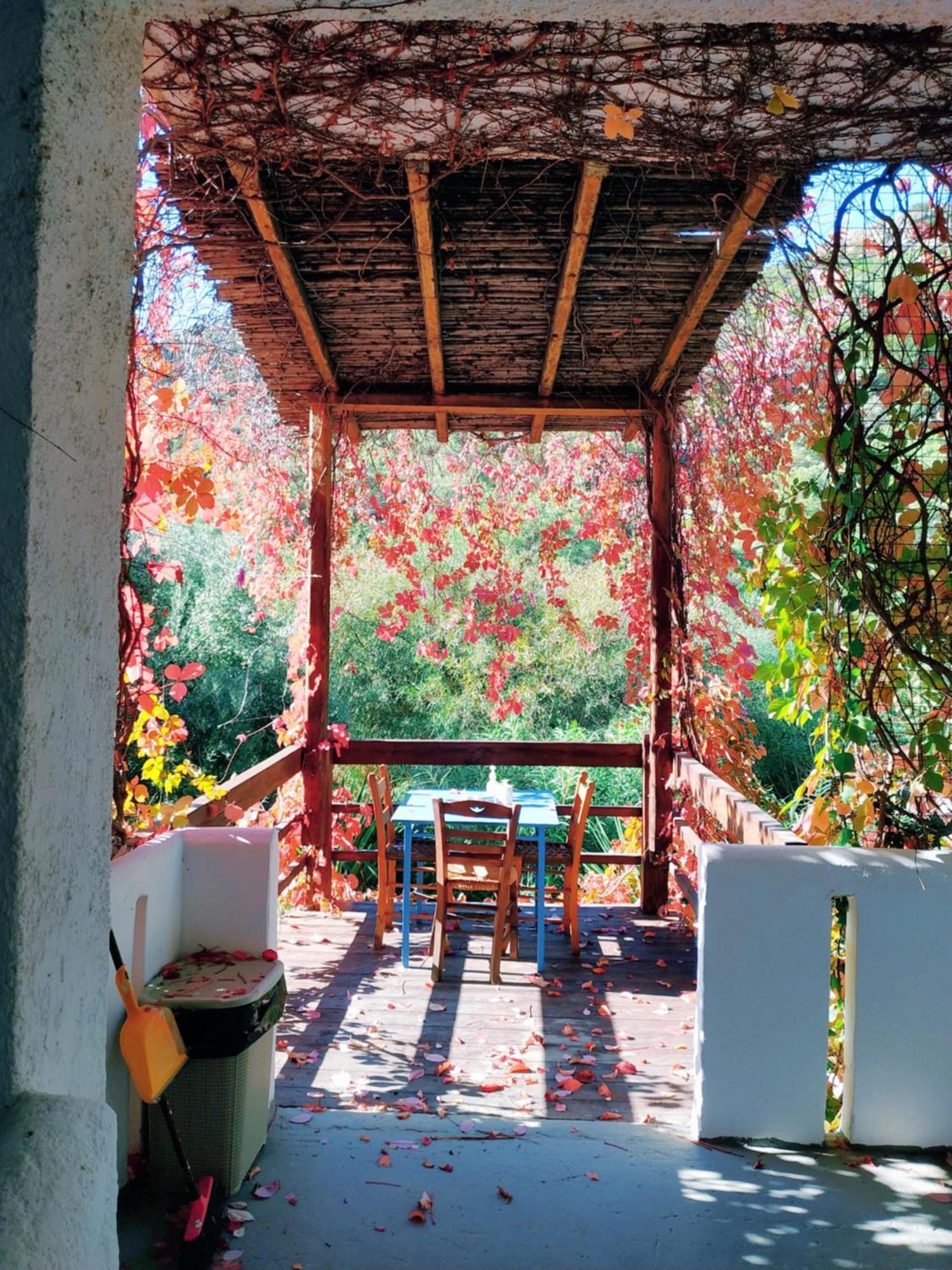 Oleander'S Garden Traditional Cretan Cottage Ferma Eksteriør bilde