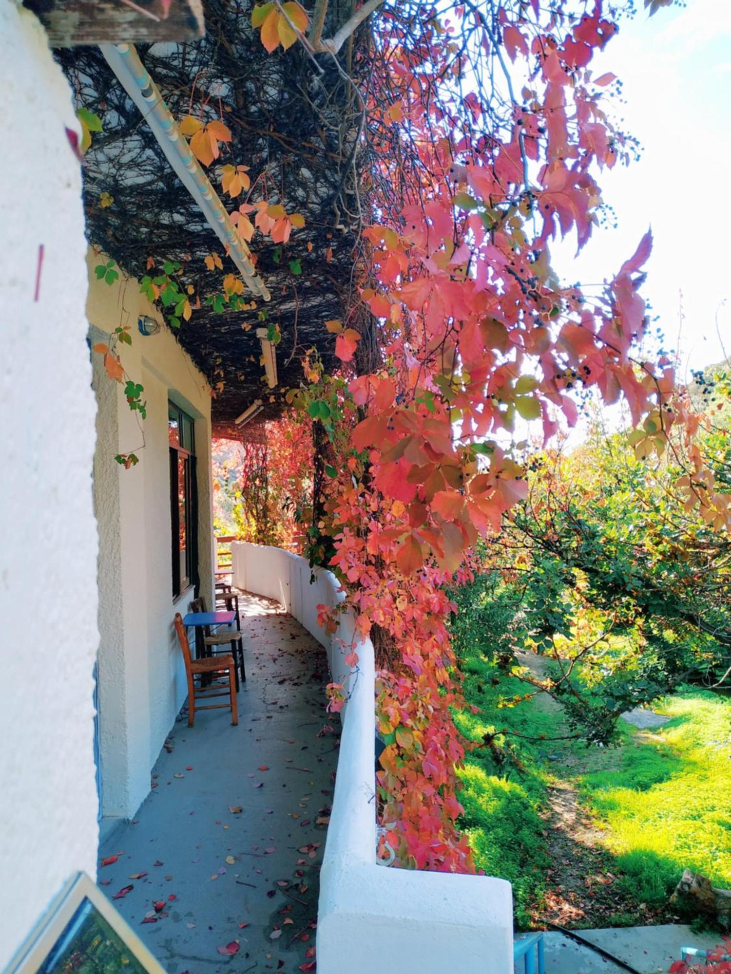 Oleander'S Garden Traditional Cretan Cottage Ferma Eksteriør bilde