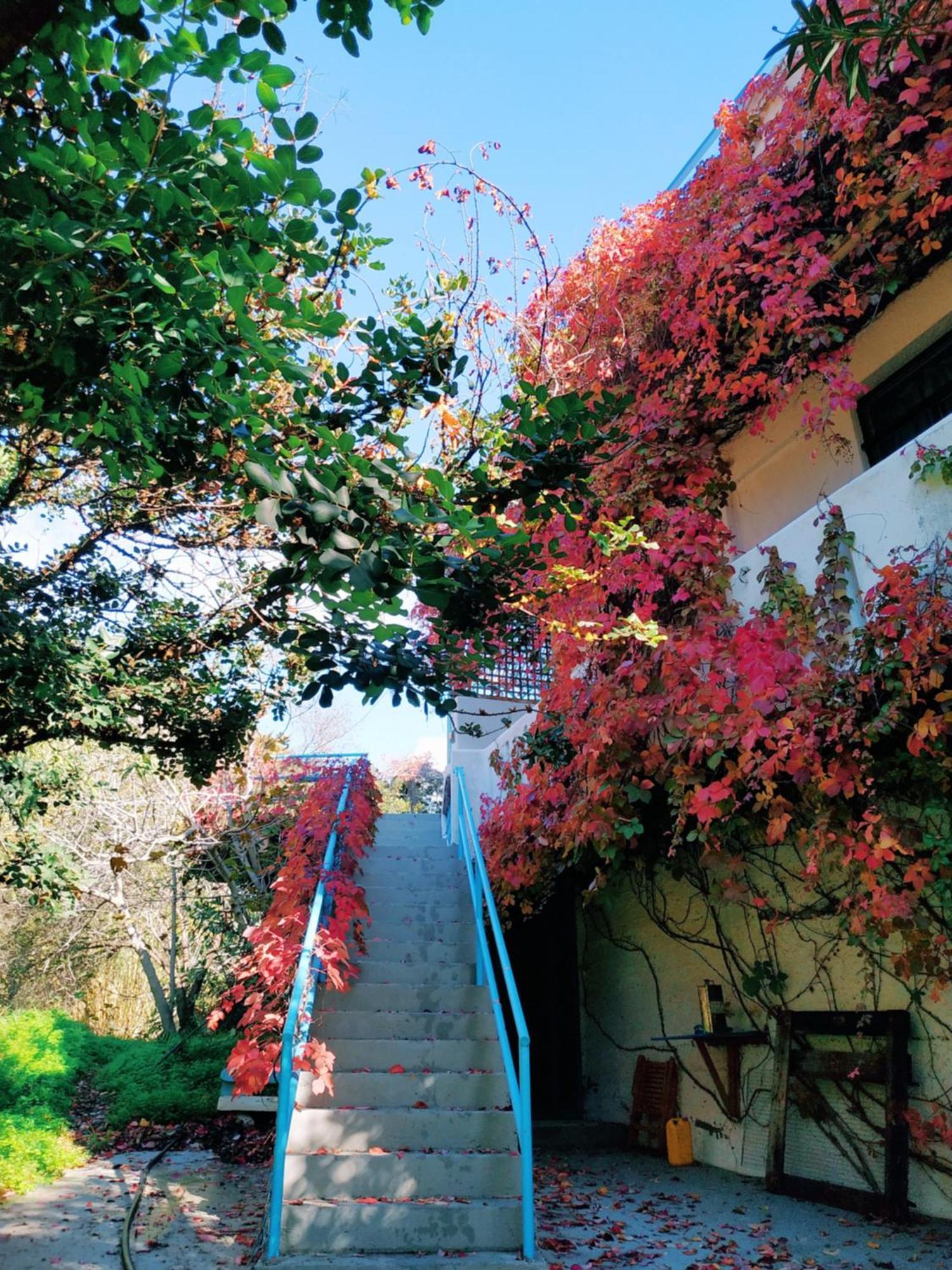 Oleander'S Garden Traditional Cretan Cottage Ferma Eksteriør bilde