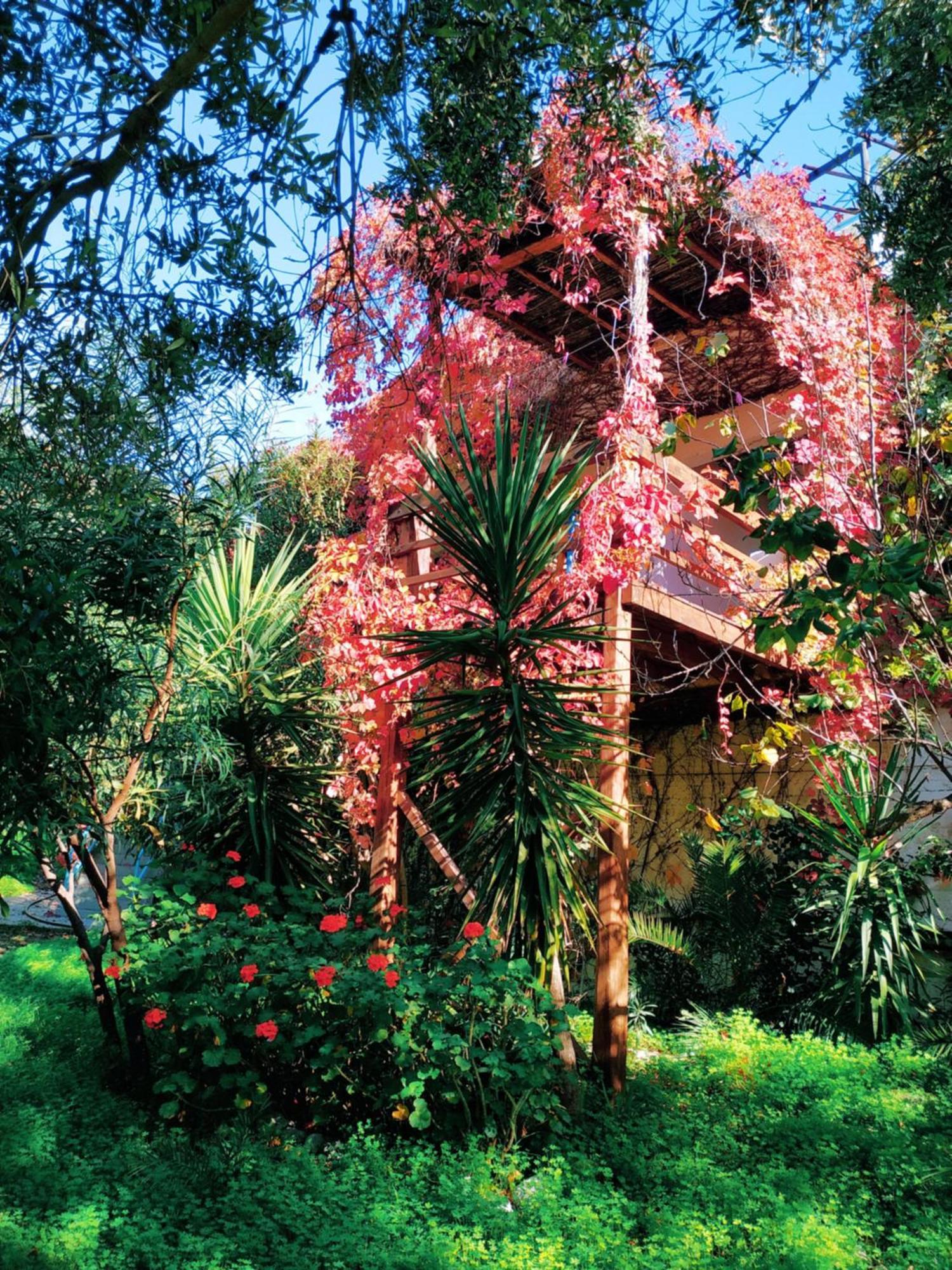 Oleander'S Garden Traditional Cretan Cottage Ferma Eksteriør bilde