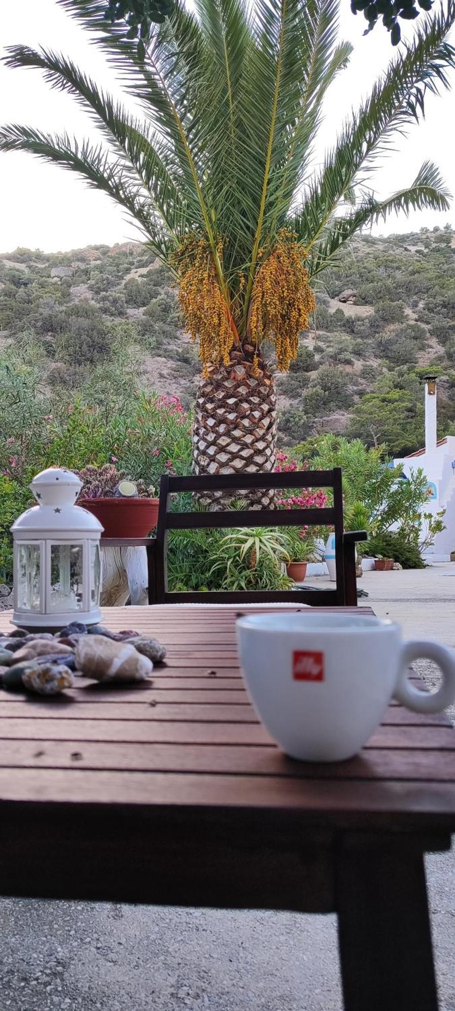 Oleander'S Garden Traditional Cretan Cottage Ferma Eksteriør bilde